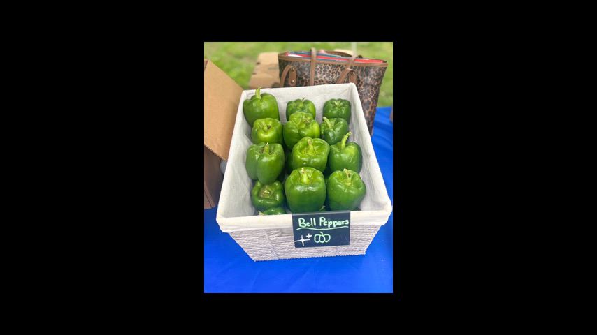 Farmstand Garden