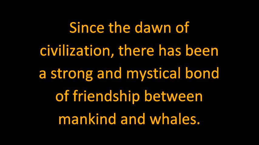 Whalesong 