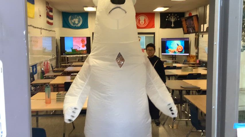 bear
