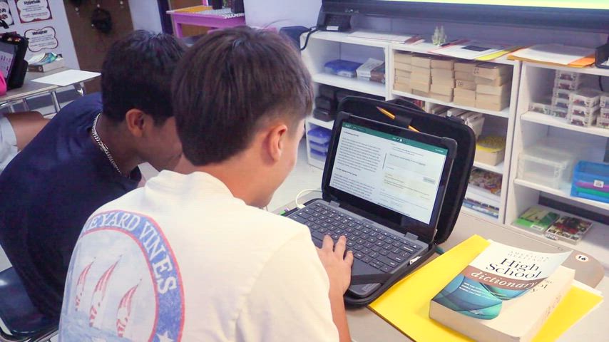 Portrait of an Owl Video on Critical Thinking