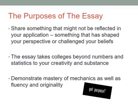 Unique Persuasive Essay Topics Anti Death Penalty Essay also Fast Food Cause And Effect Essay Writing The College Essay Hopewell Valley Central Antigone Theme Essay