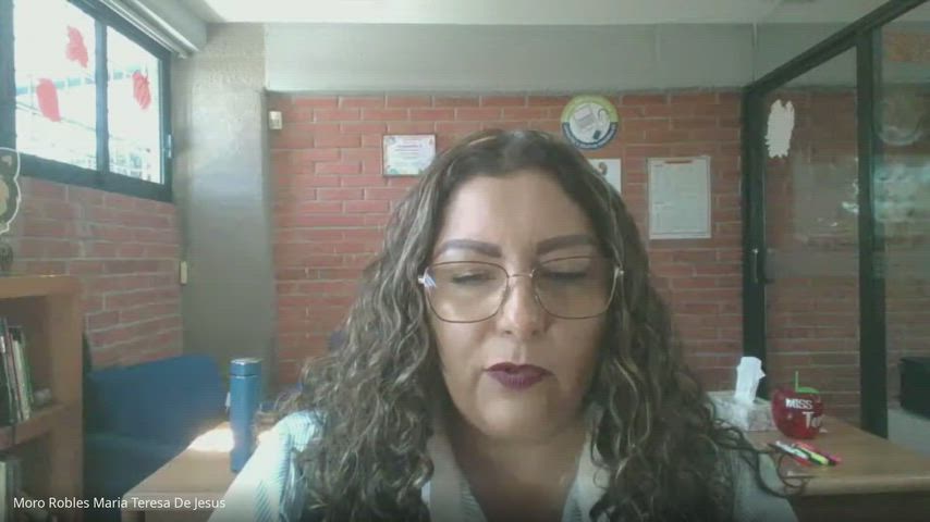 Explicación boletas Primaria 2025