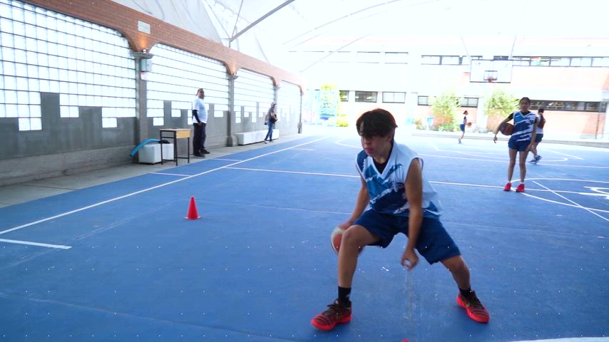 Academia D'Amicis de Baloncesto