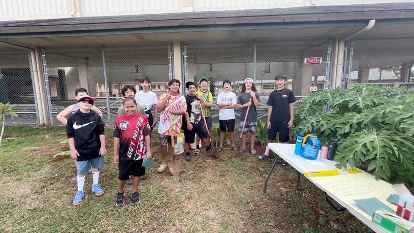 Planting La'i