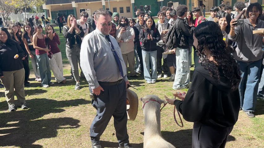 Mr. Ward kisses a goat.