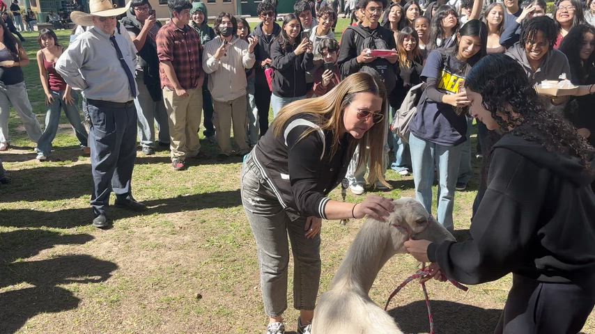 Miss Tesh kisses a goat