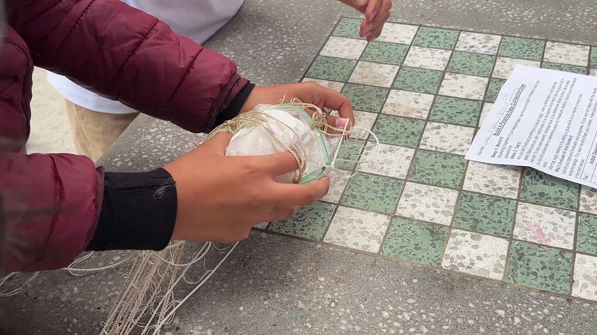 Final Testing egg landing if it breaks