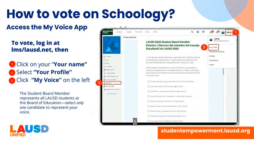 How to Vote on Schoology