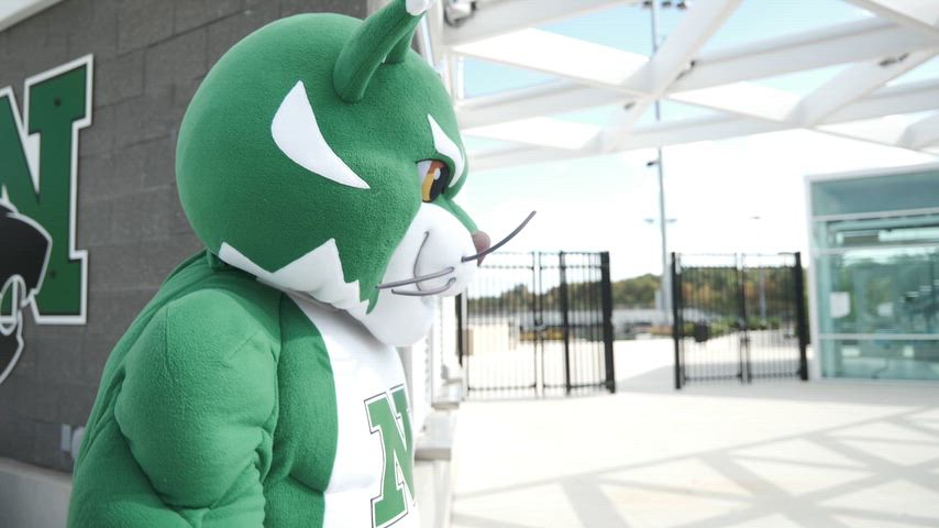 Video shows Northville Superintendent Dr. RJ Webber and Novi Superintendent Dr. Ben Mainka standing side by side, smiling and energetically encouraging viewers about the friendly Baseline Blitz rivalry fundraiser, with text overlay promoting the 5K Walk/Run on October 12 and the Tailgate on October 17 at Novi Wildcat Stadium.