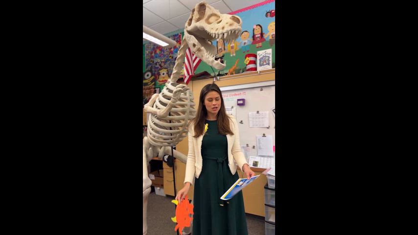 Science Fair