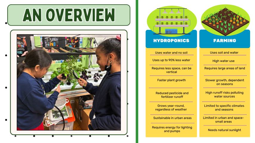This video shares the pros to having hydroponics classrooms and shows students maintaining the lab and the various vegetables and flowers grown.