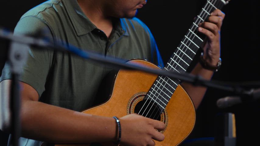 Joel Damian-Meza - Canco del Lladre