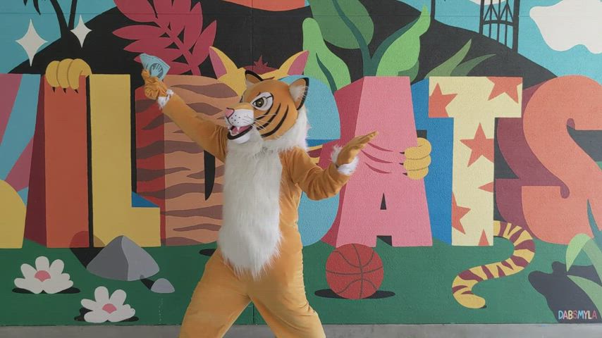 Whiskers the Wildcat