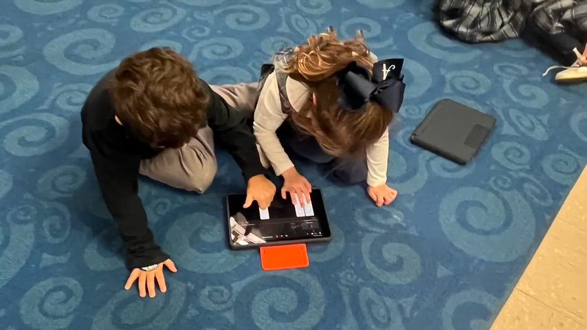 Apple Distinguished School