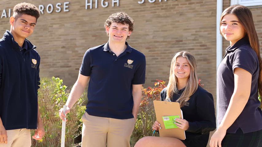 website homepage hero