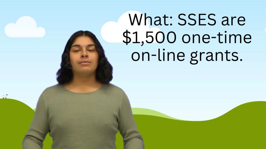 Supplemental Special Education Services (SSES): Support for Your 