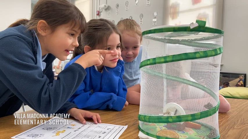 Students having fun, learning, and trying new things at Villa Madonna Academy.