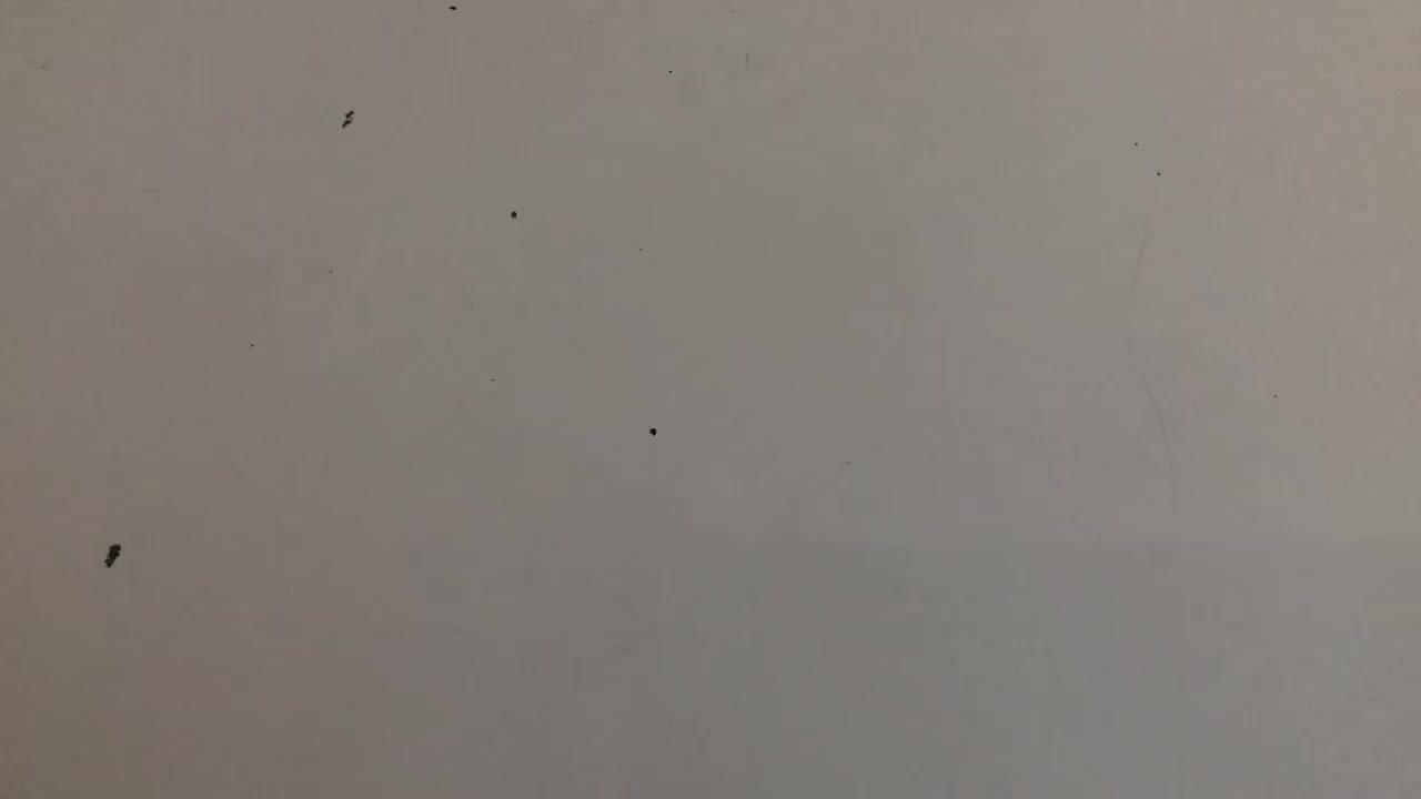 CVC /u/ Words West Hills Primary